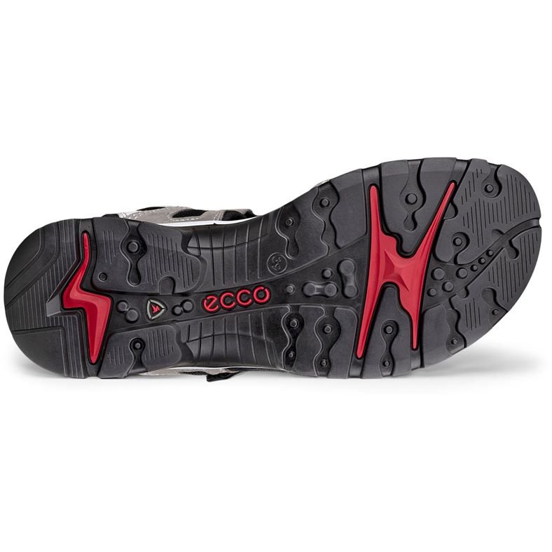 hier ist offroad