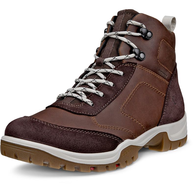 ecco expedition iii w