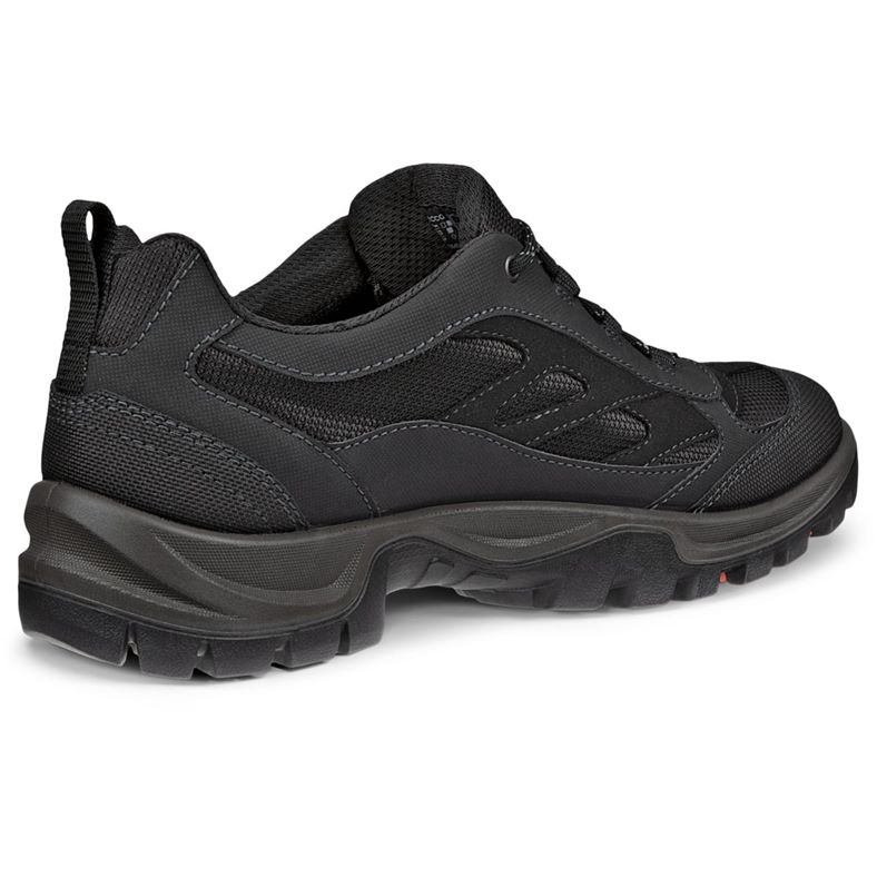 ecco expedition iii m