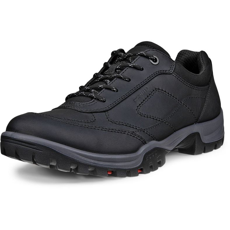 ecco expedition iii m