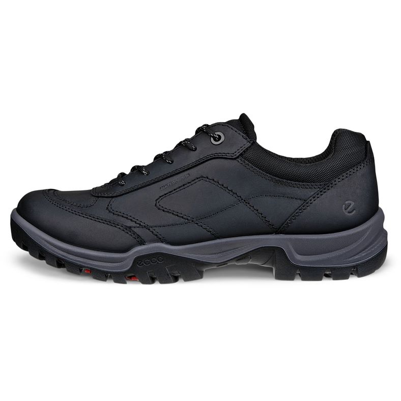 ecco expedition iii m