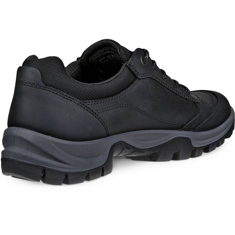 ecco expedition iii m