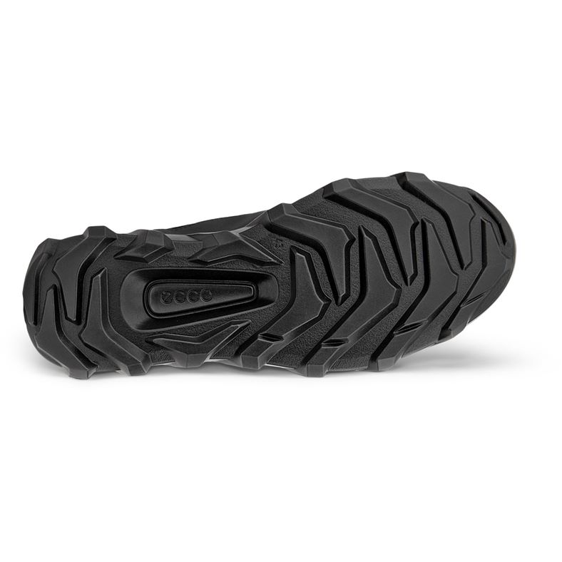 ecco mx m