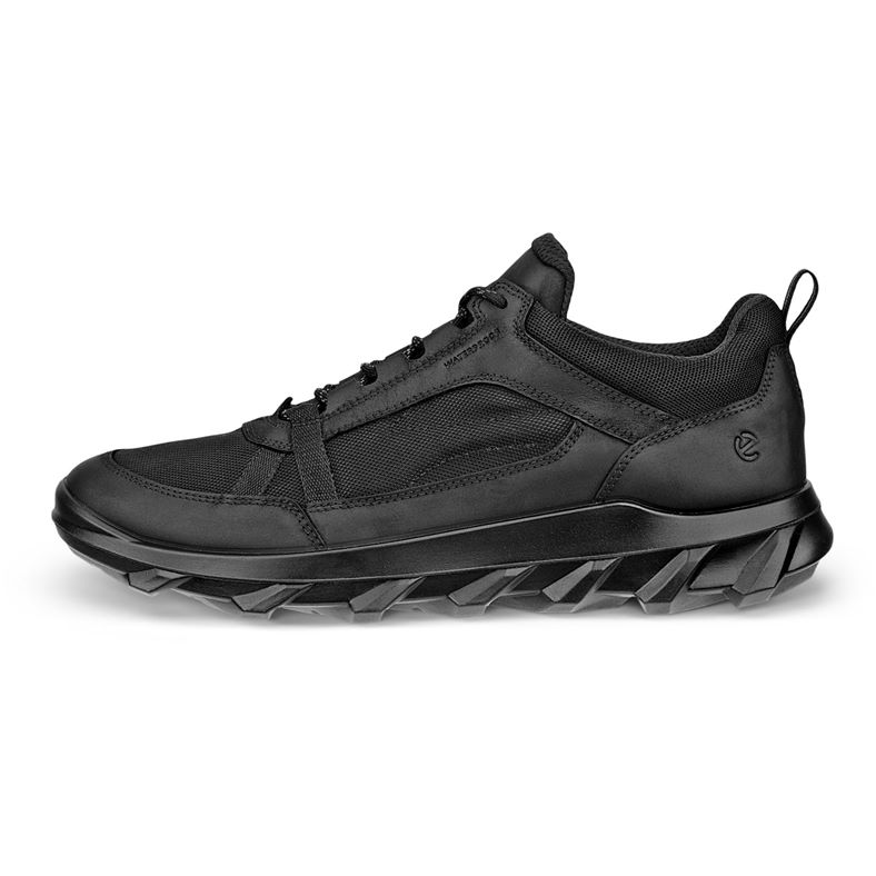 ecco mx m