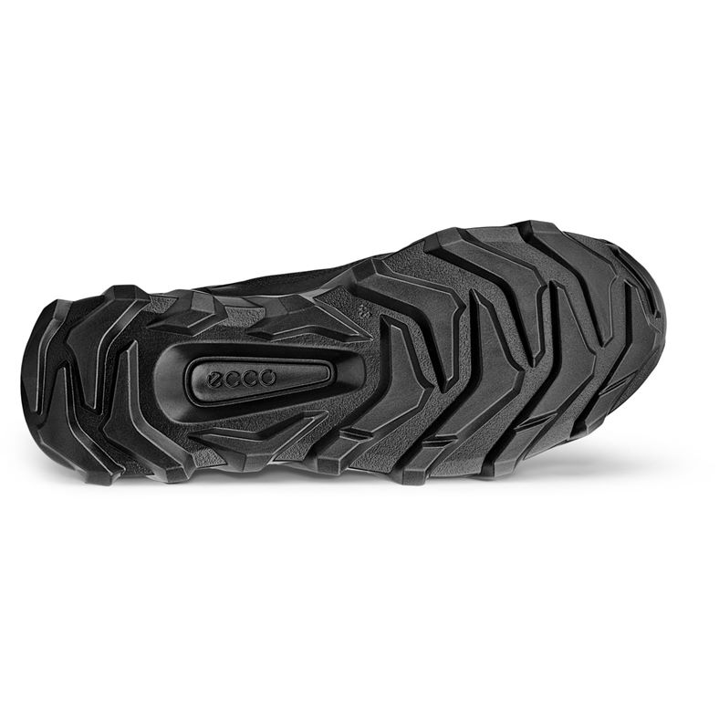 ecco mx m