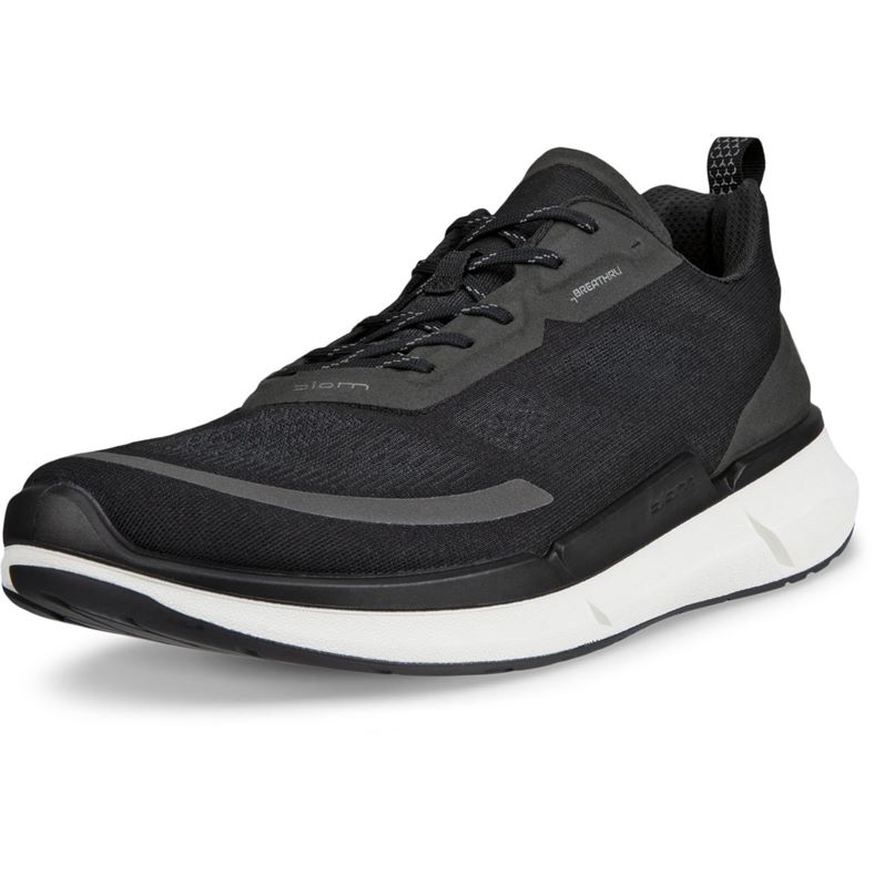 ecco biom 22 m