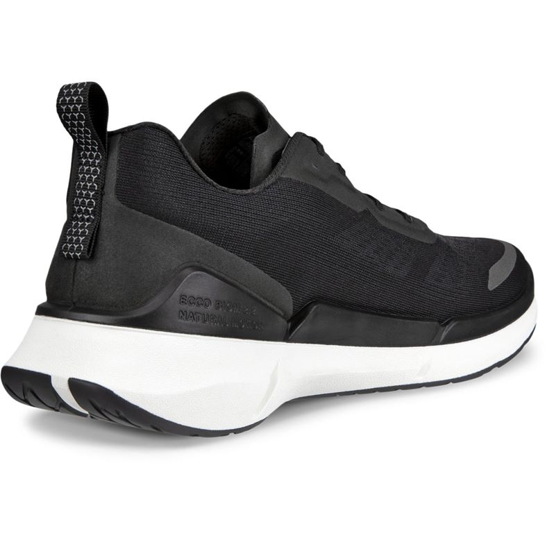 ecco biom 22 m