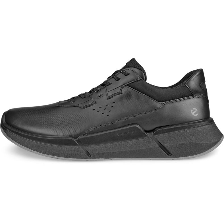 ecco biom 22 m