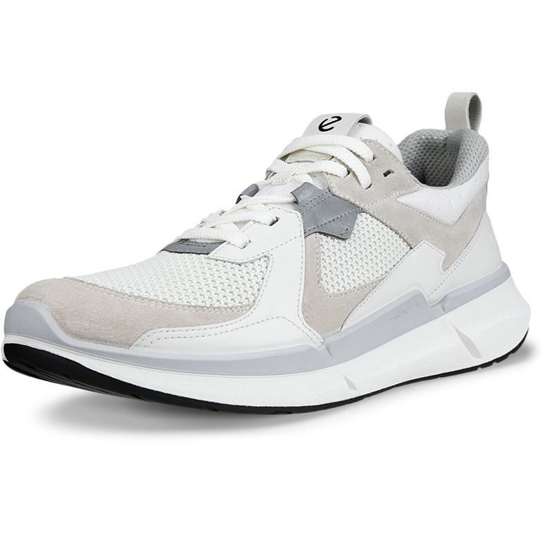 ecco biom 22 m