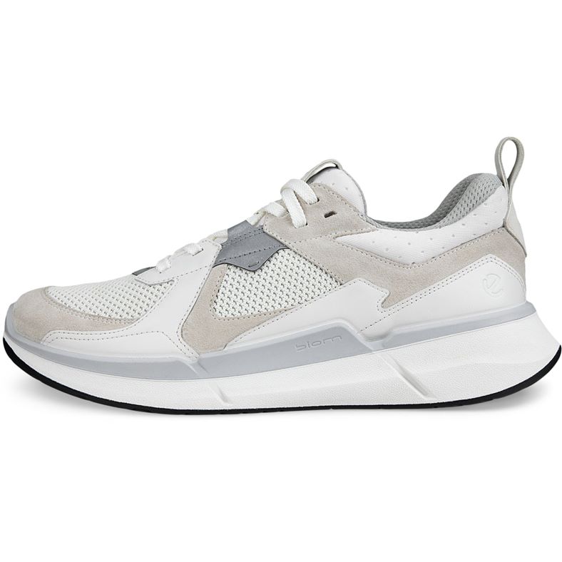 ecco biom 22 m