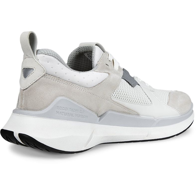 ecco biom 22 m