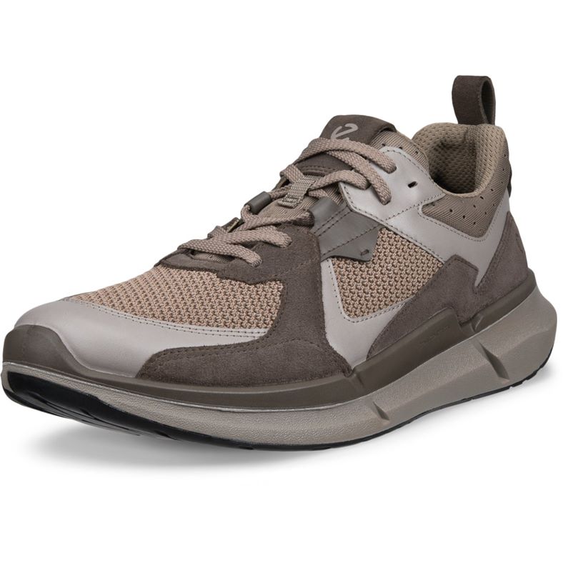 ecco biom 22 m