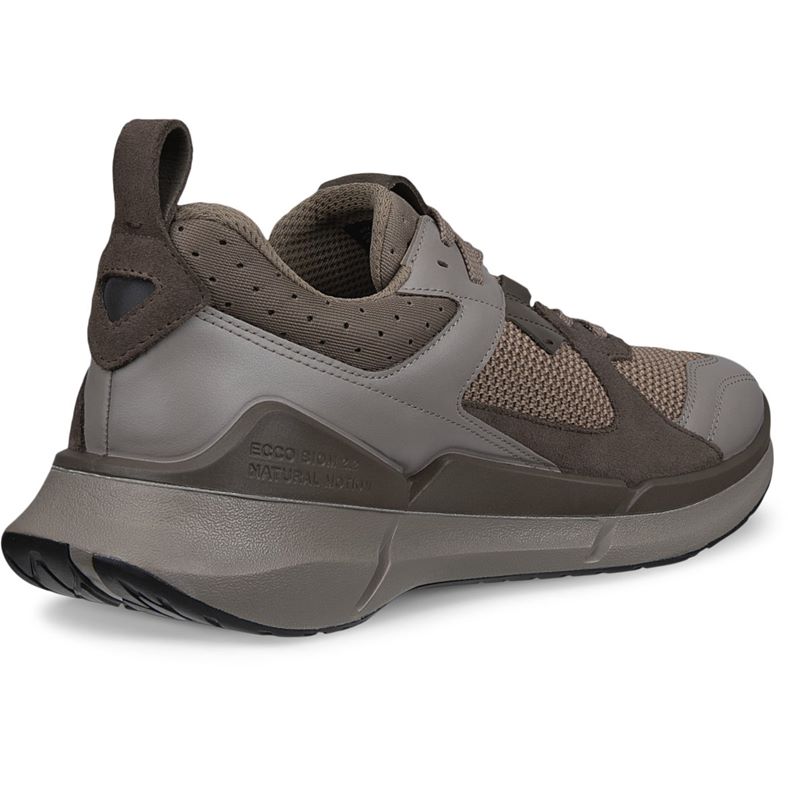 ecco biom 22 m