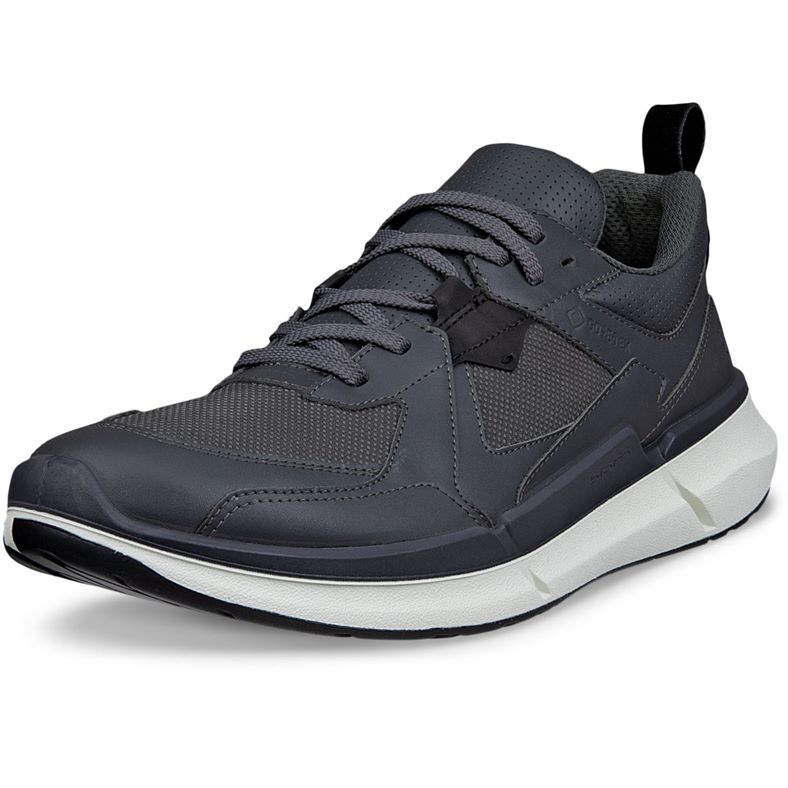 ecco biom 22 m