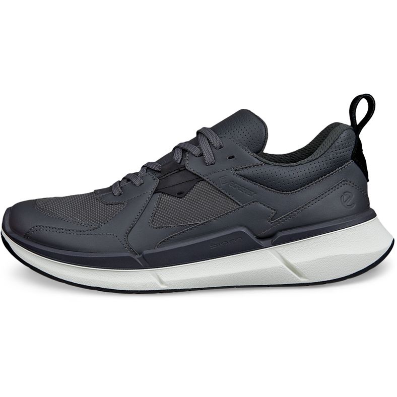 ecco biom 22 m