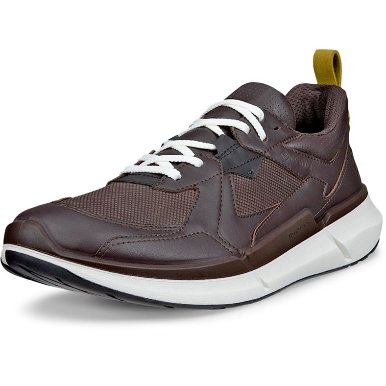 ecco biom 22 m