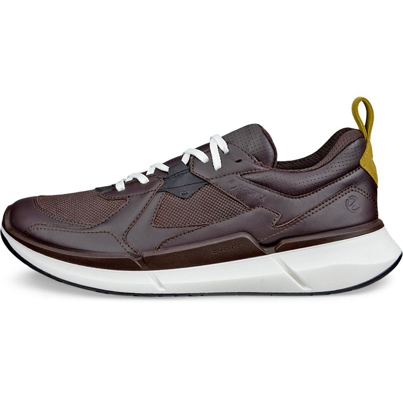 ecco biom 22 m