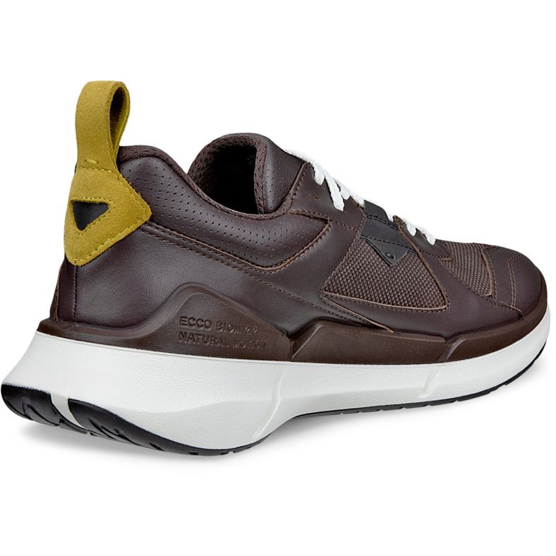 ecco biom 22 m