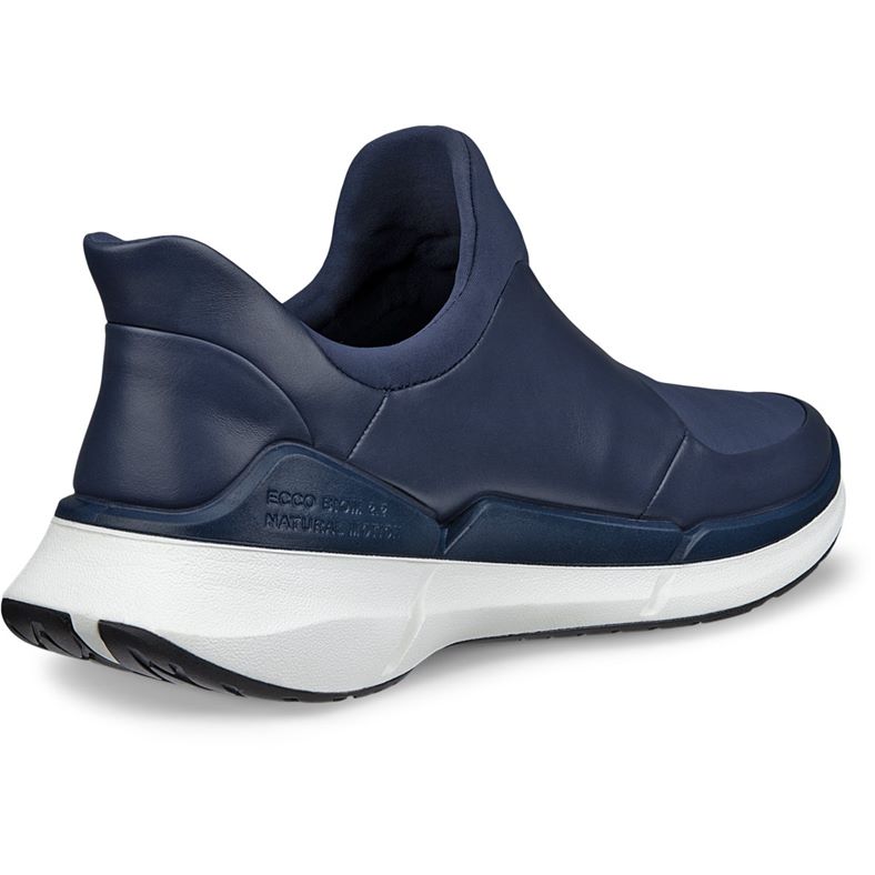 ecco biom 22 m