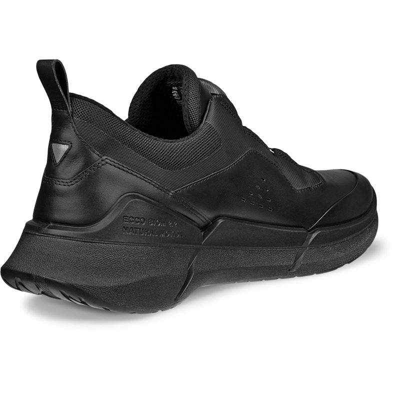 ecco biom 22 m