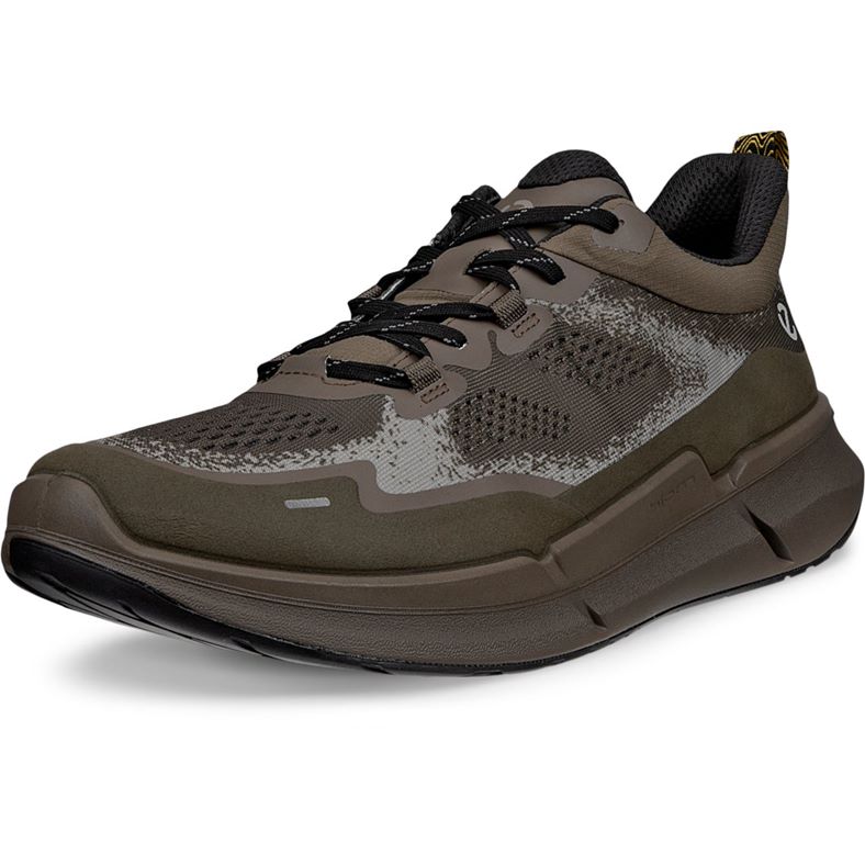 ecco biom 22 m