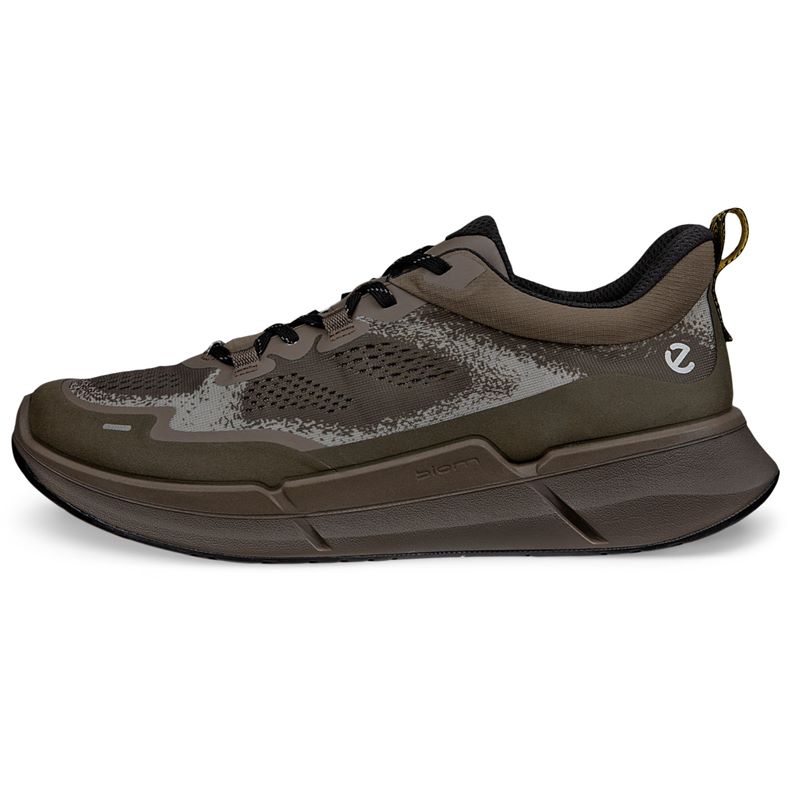 ecco biom 22 m