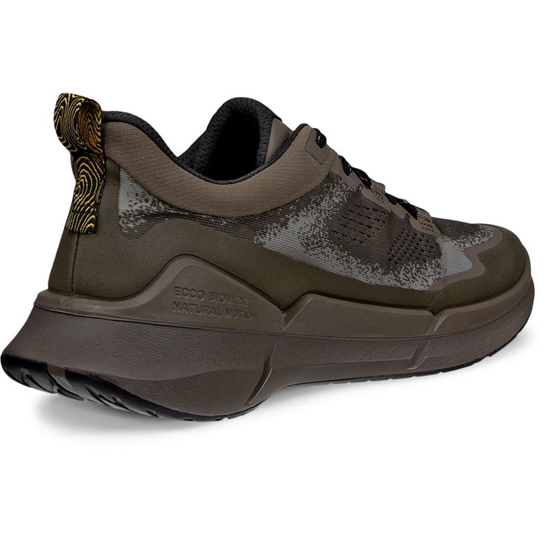 ecco biom 22 m