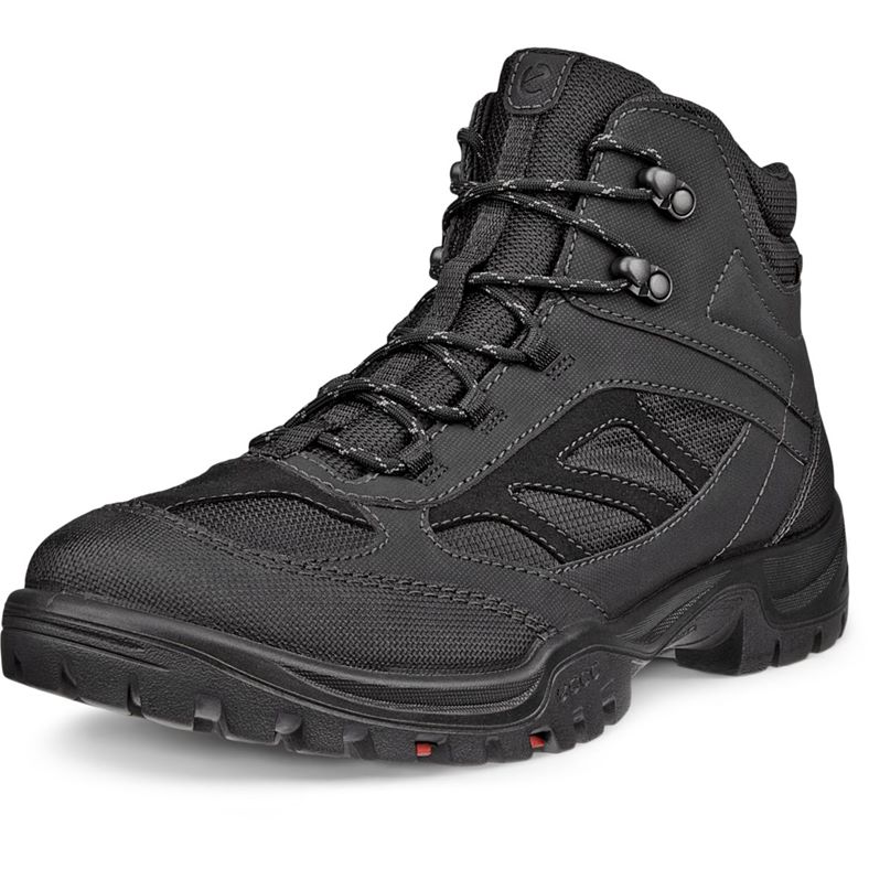 ecco expedition iii m