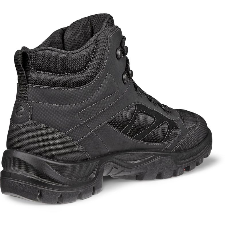 ecco expedition iii m
