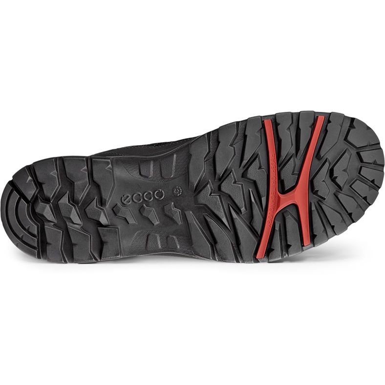 ecco expedition iii m