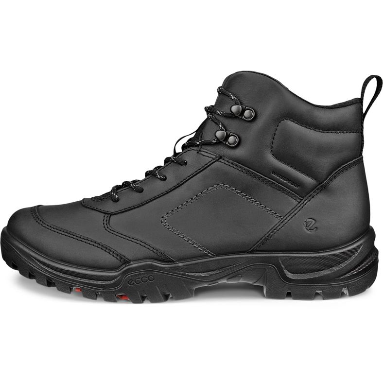 ecco expedition iii m