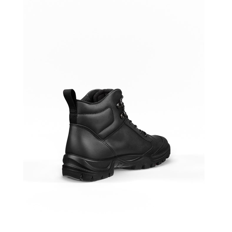 ecco expedition iii m