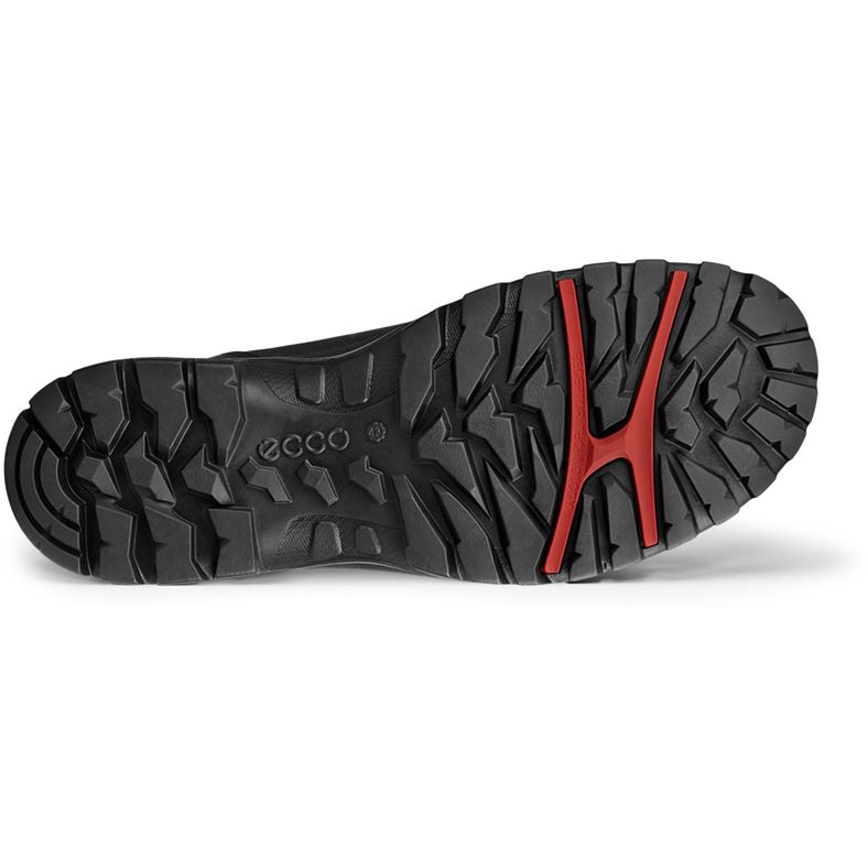 ecco expedition iii m