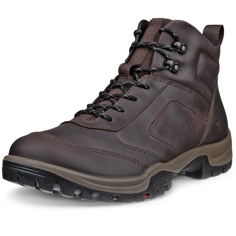 ecco expedition iii m