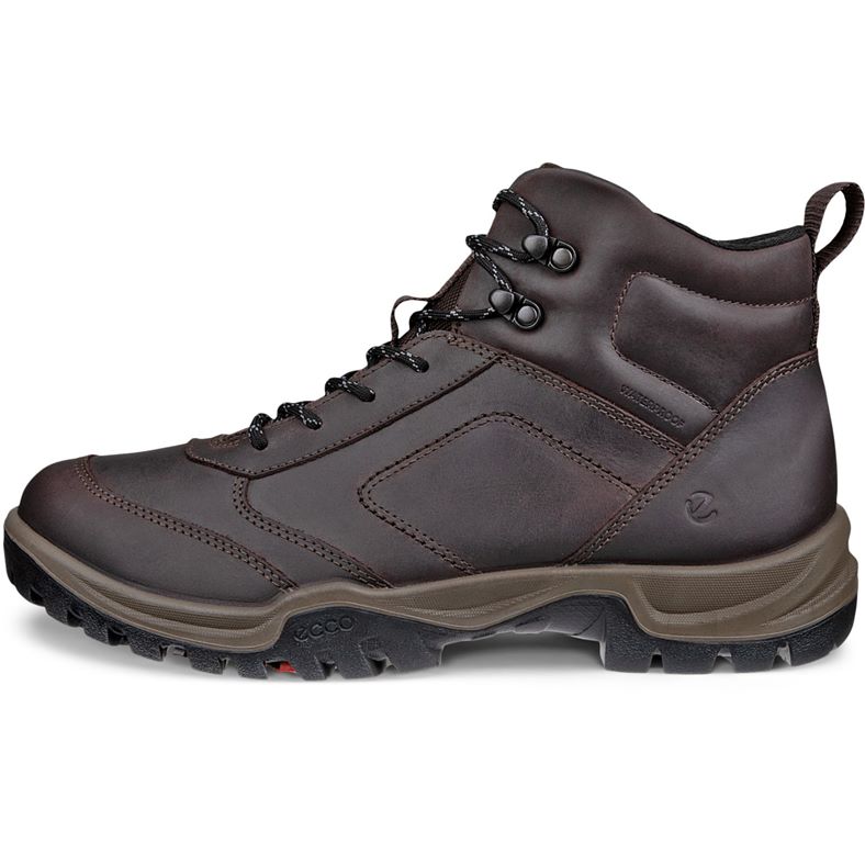 ecco expedition iii m