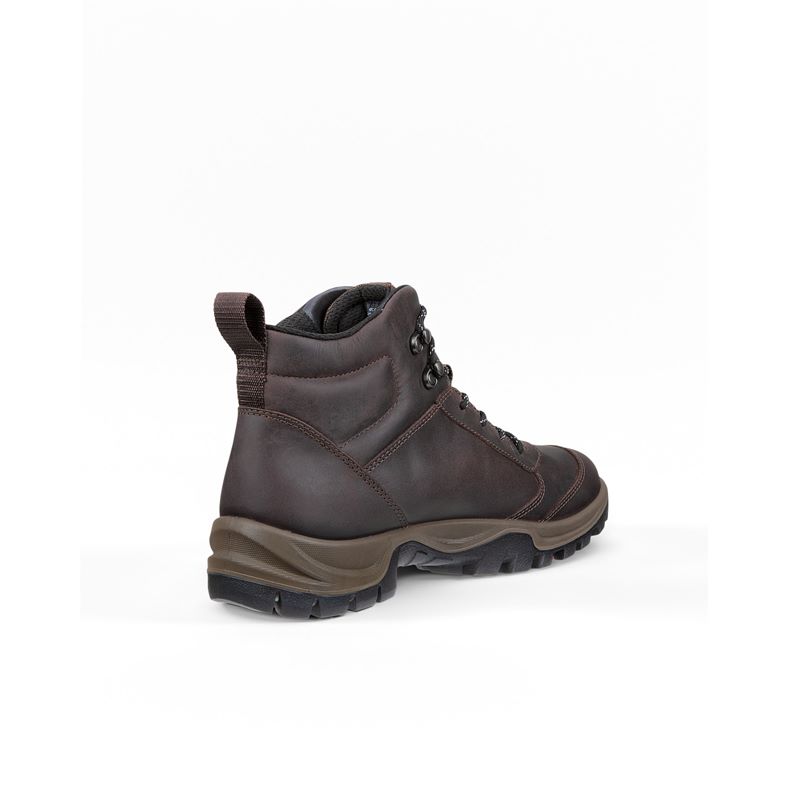 ecco expedition iii m