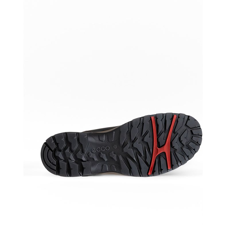 ecco expedition iii m