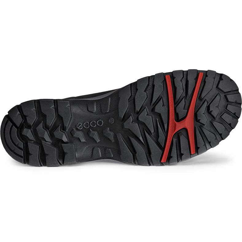 ecco expedition iii m