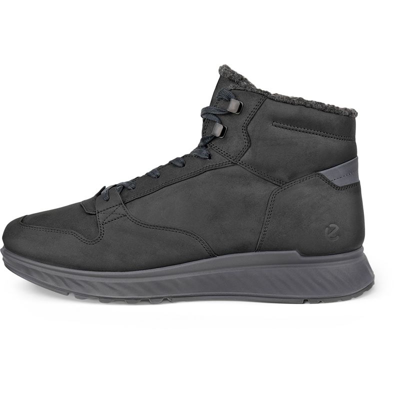 ecco exostride m