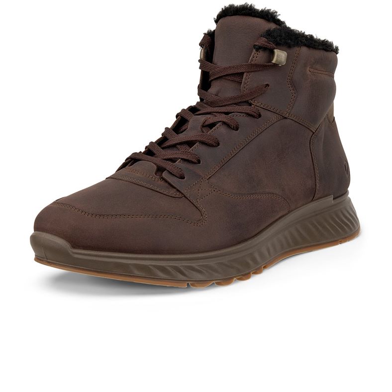 ecco exostride m