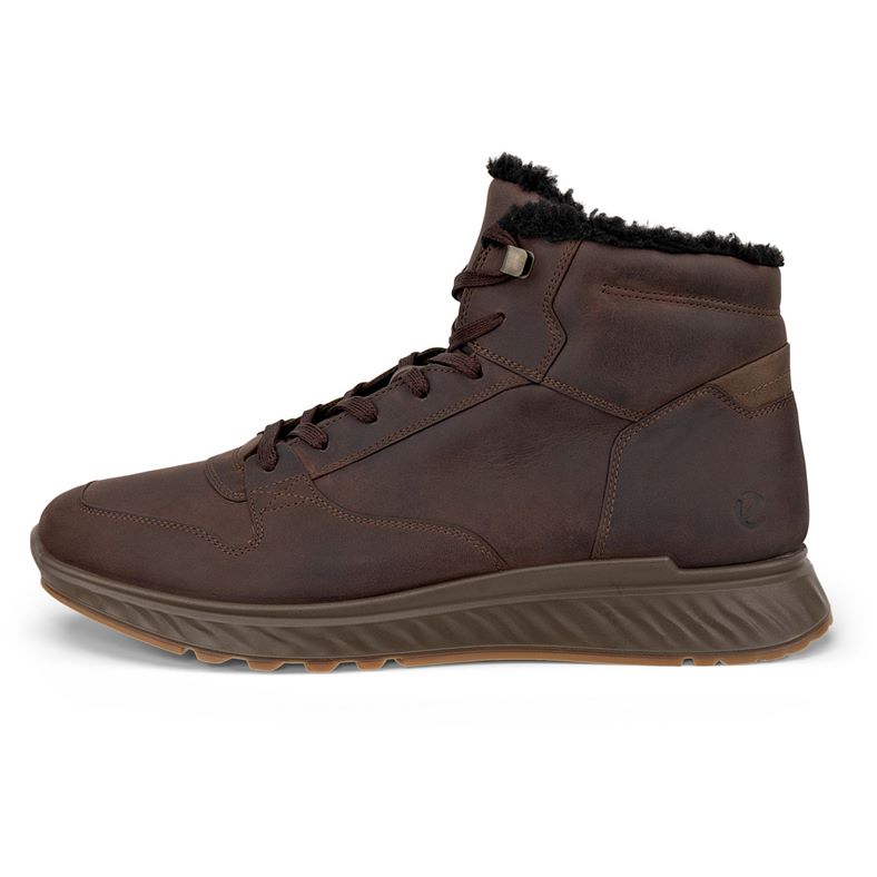ecco exostride m
