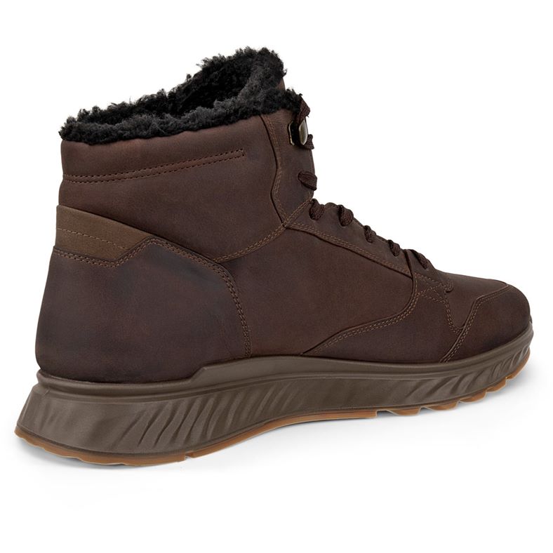 ecco exostride m