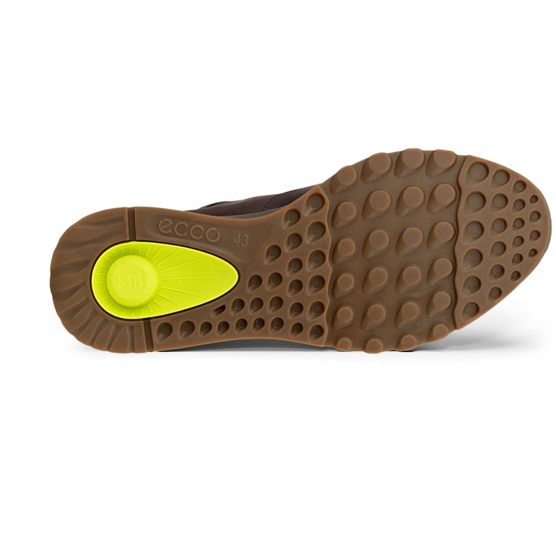 ecco exostride m