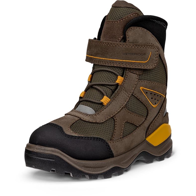 ecco schneeberg