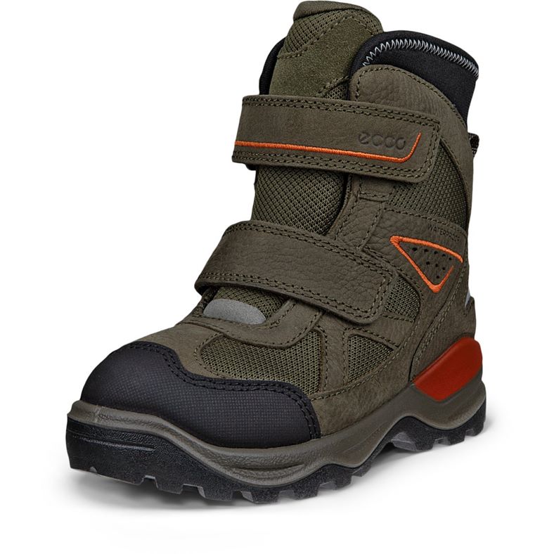 ecco schneeberg