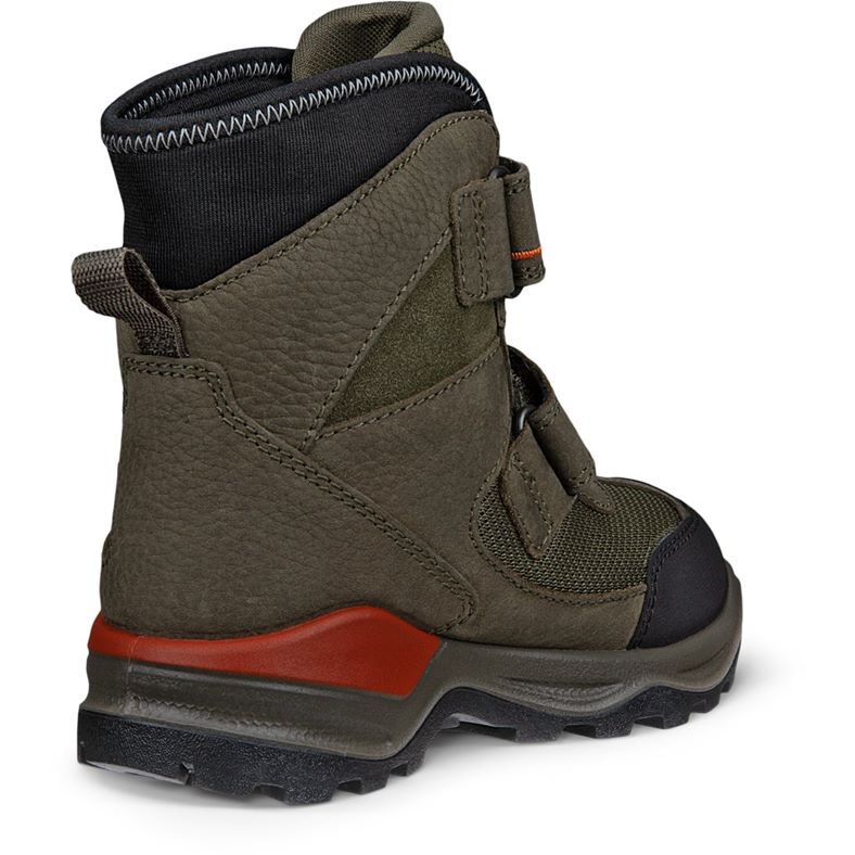 ecco schneeberg