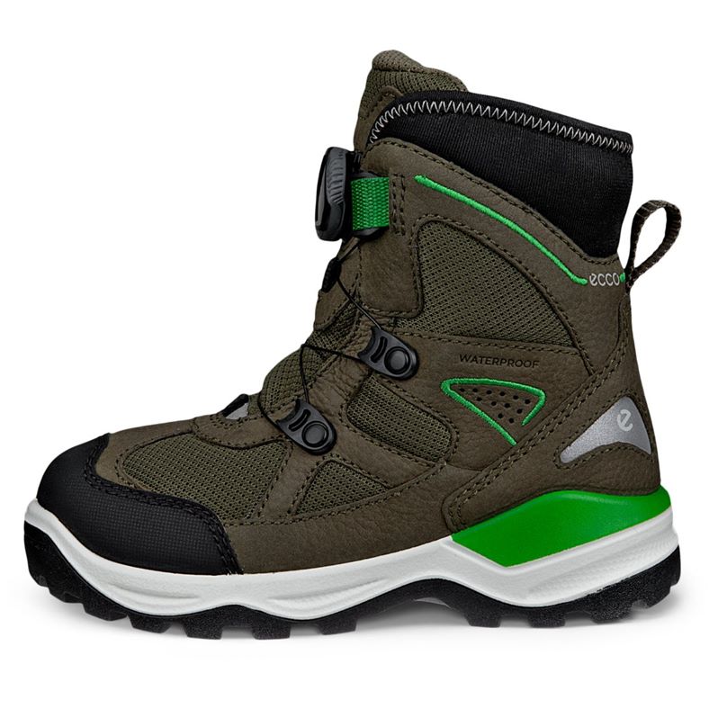 ecco schneeberg