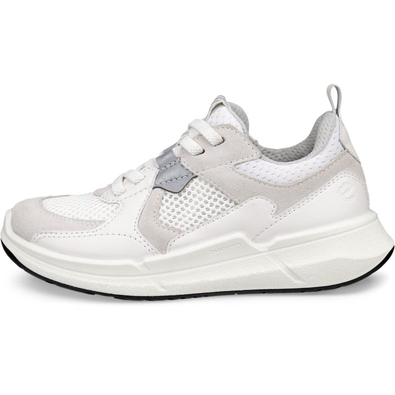 ecco biom 22 k