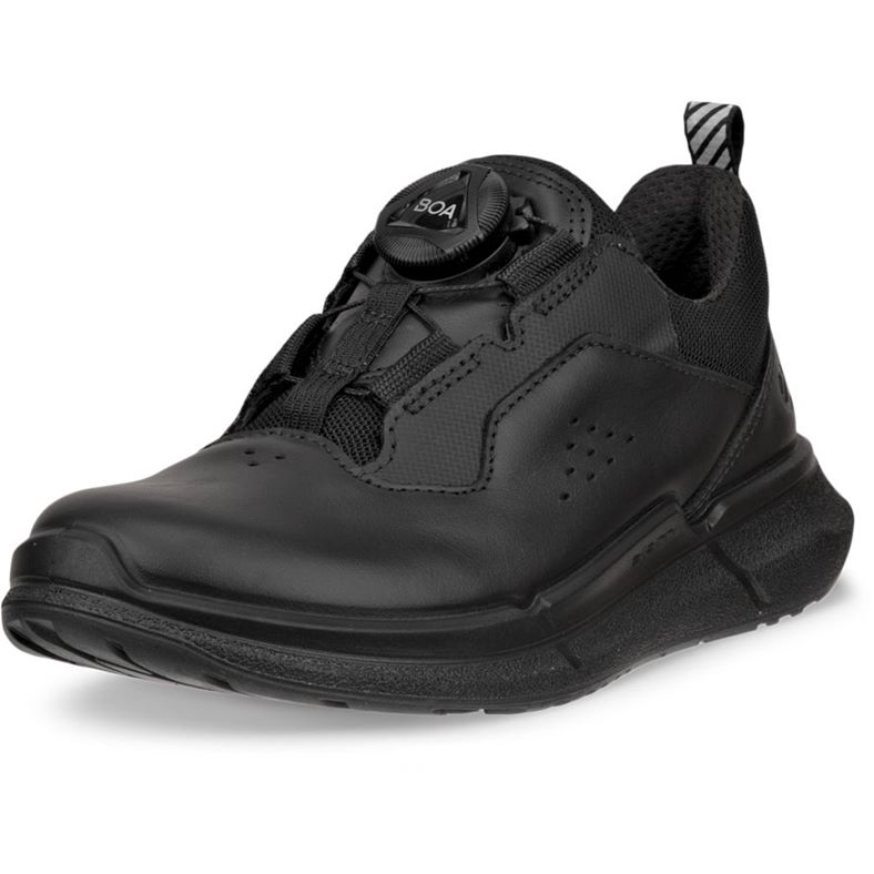 ecco biom 22 k