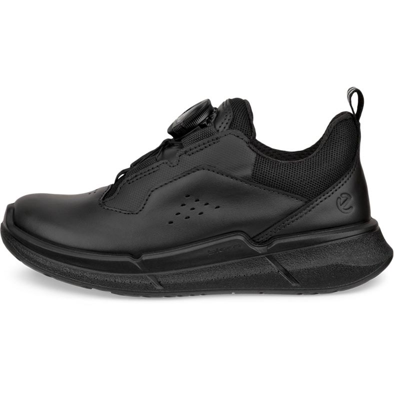 ecco biom 22 k